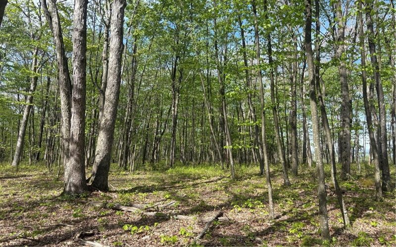 Lot 3 & 4 Killarney Road, Mill Run, 15464, ,Farm-acreage-lot,For Sale,Killarney Road,1753354
