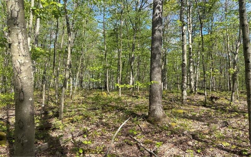 Lot 3 & 4 Killarney Road, Mill Run, 15464, ,Farm-acreage-lot,For Sale,Killarney Road,1753354