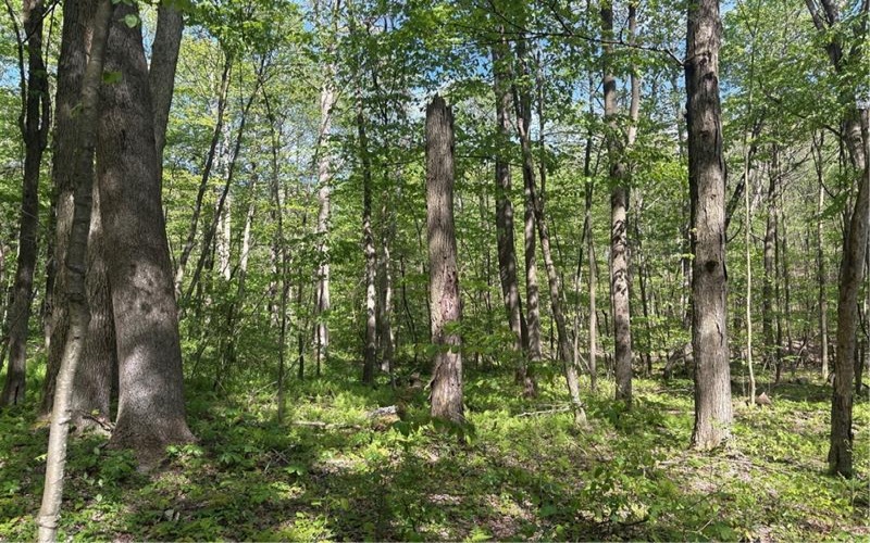 Lot 3 & 4 Killarney Road, Mill Run, 15464, ,Farm-acreage-lot,For Sale,Killarney Road,1753354