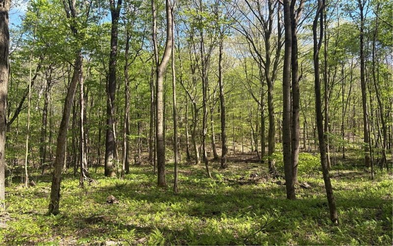 Lot 3 & 4 Killarney Road, Mill Run, 15464, ,Farm-acreage-lot,For Sale,Killarney Road,1753354
