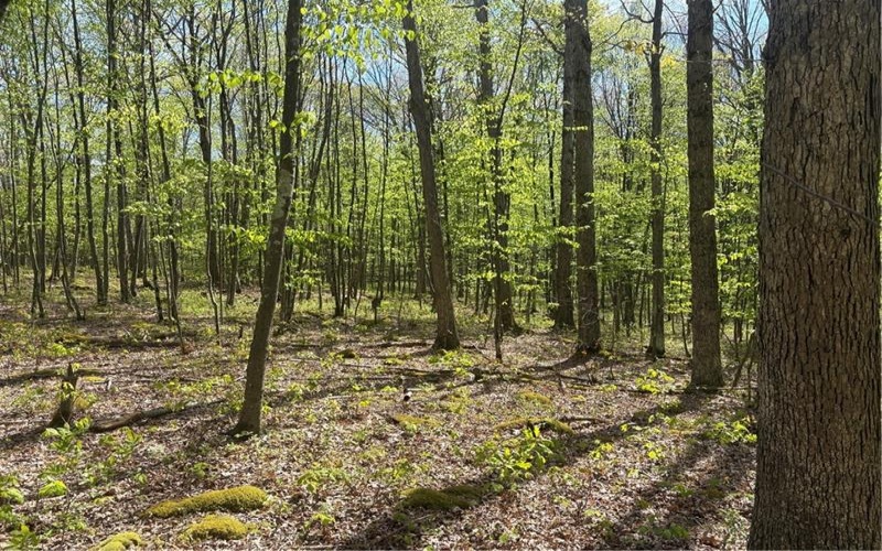 Lot 3 & 4 Killarney Road, Mill Run, 15464, ,Farm-acreage-lot,For Sale,Killarney Road,1753354
