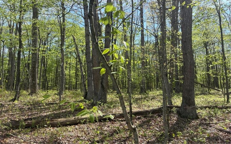 Lot 3 & 4 Killarney Road, Mill Run, 15464, ,Farm-acreage-lot,For Sale,Killarney Road,1753354