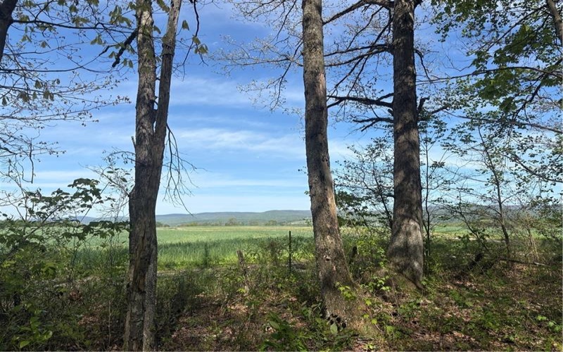 Lot 3 & 4 Killarney Road, Mill Run, 15464, ,Farm-acreage-lot,For Sale,Killarney Road,1753354
