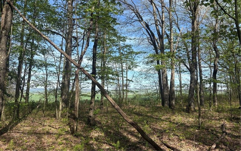 Lot 3 & 4 Killarney Road, Mill Run, 15464, ,Farm-acreage-lot,For Sale,Killarney Road,1753354