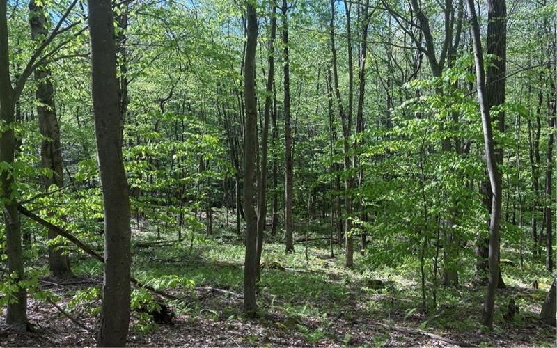 Lot 3 & 4 Killarney Road, Mill Run, 15464, ,Farm-acreage-lot,For Sale,Killarney Road,1753354