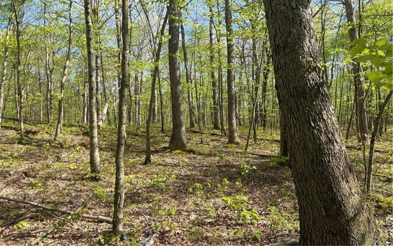 Lot 3 & 4 Killarney Road, Mill Run, 15464, ,Farm-acreage-lot,For Sale,Killarney Road,1753354