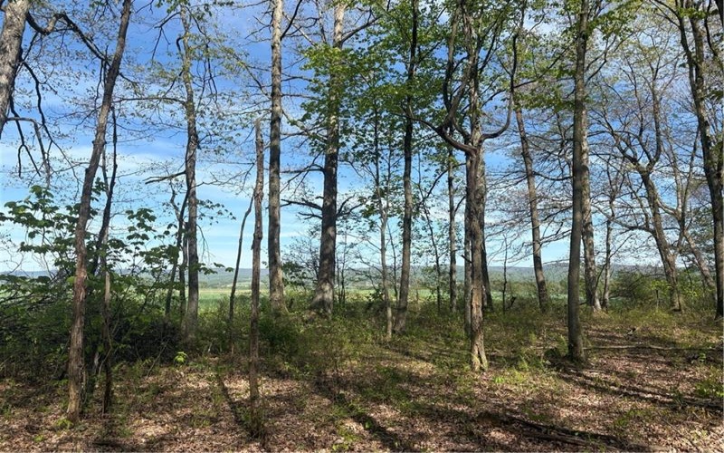 Lot 3 & 4 Killarney Road, Mill Run, 15464, ,Farm-acreage-lot,For Sale,Killarney Road,1753354
