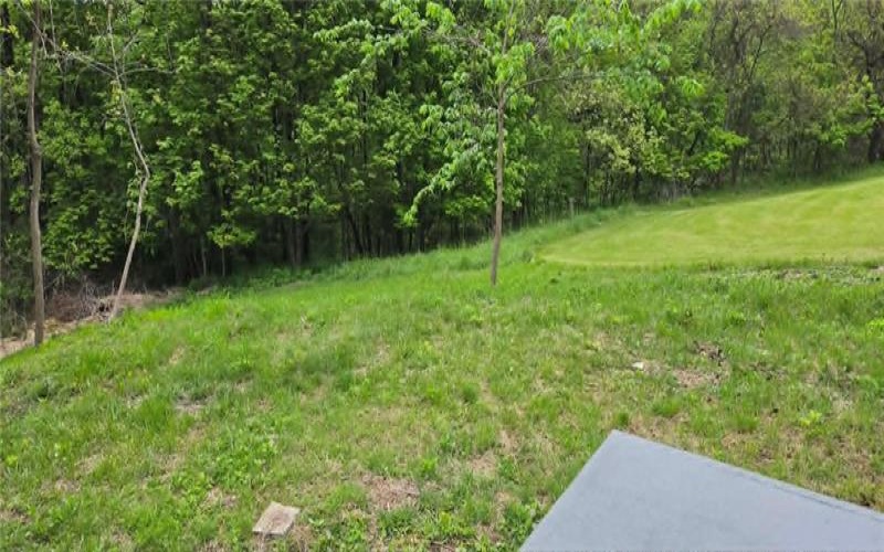 132 Cherry Tree Rd, Grindstone, 15442, 2 Bedrooms Bedrooms, ,1 BathroomBathrooms,Residential,For Sale,Cherry Tree Rd,1753519