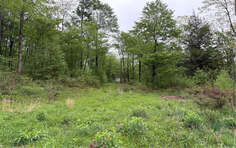 Lot 4 Cranberry Road, Confluence, 15424, ,Farm-acreage-lot,For Sale,Cranberry Road,1753565