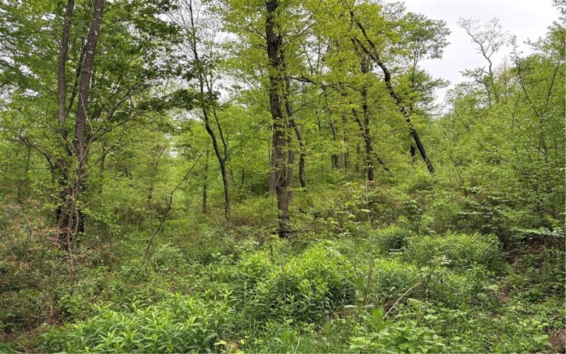 Lot 4 Cranberry Road, Confluence, 15424, ,Farm-acreage-lot,For Sale,Cranberry Road,1753565