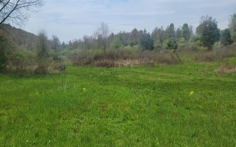 138 Beaver Run, Apollo, 15613, ,Farm-acreage-lot,For Sale,Beaver Run,1753648
