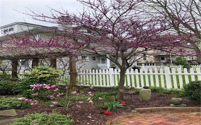 115 Vincent Street, Ligonier, 15658, 3 Bedrooms Bedrooms, ,2 BathroomsBathrooms,Residential,For Sale,Vincent Street,1753649