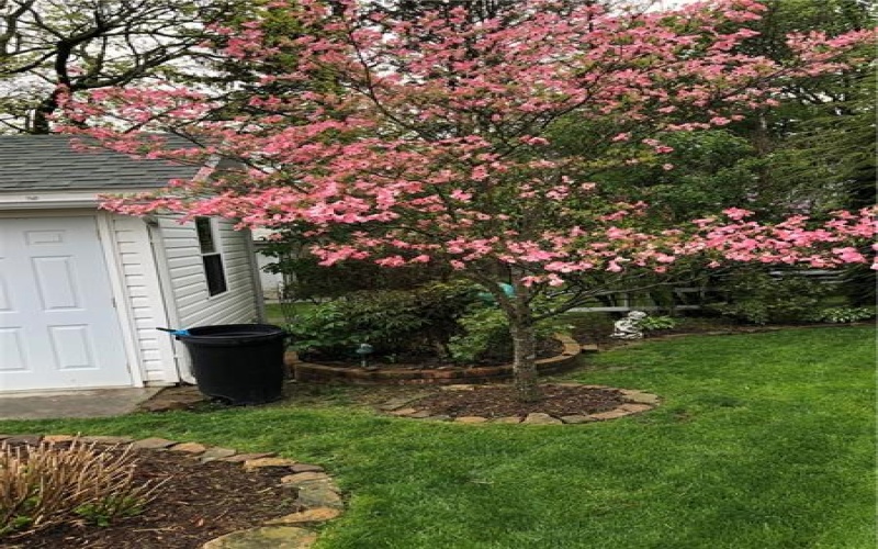 115 Vincent Street, Ligonier, 15658, 3 Bedrooms Bedrooms, ,2 BathroomsBathrooms,Residential,For Sale,Vincent Street,1753649