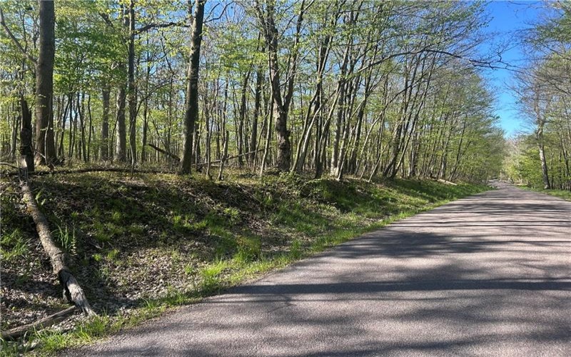 26171 Old Mill Rd, Ohiopyle, 15470, ,Farm-acreage-lot,For Sale,Old Mill Rd,1753811