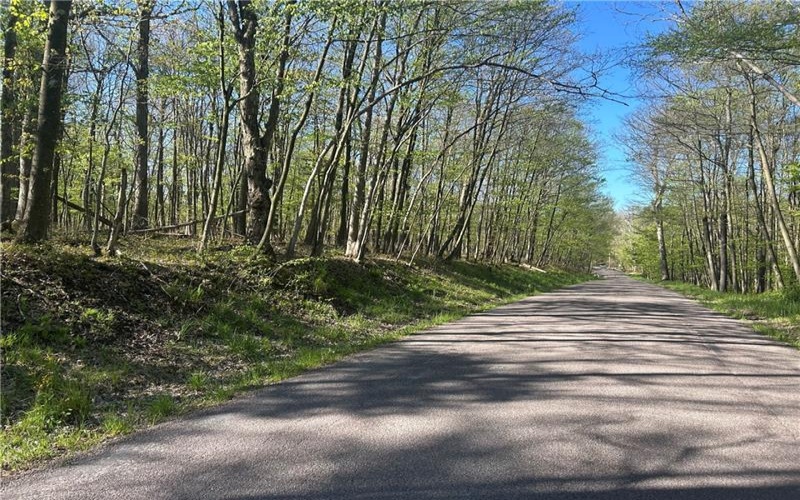 26171 Old Mill Rd, Ohiopyle, 15470, ,Farm-acreage-lot,For Sale,Old Mill Rd,1753811