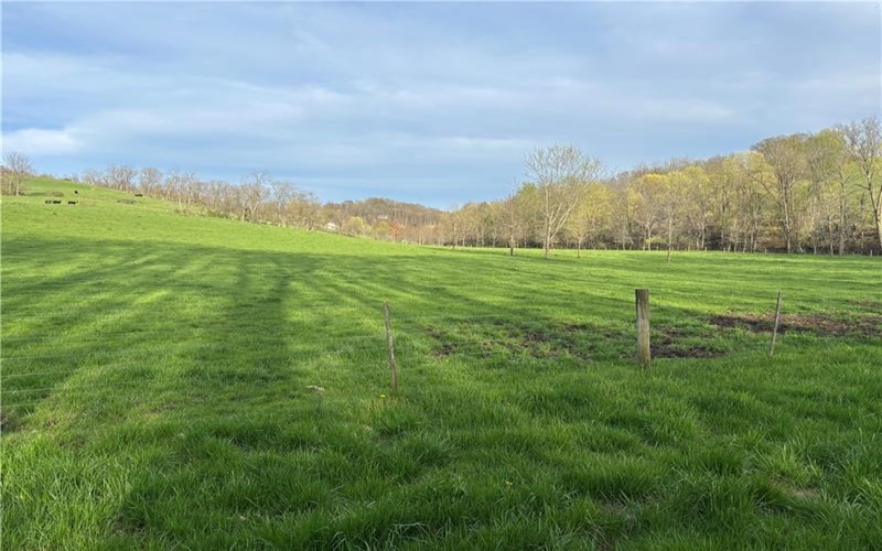 0 Lyons/Wilhelm Rd, Claysville, 15323, ,Farm-acreage-lot,For Sale,Lyons/Wilhelm Rd,1739076