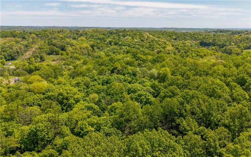 152 Chapel Hill Rd, Claysville, 15323, ,Farm-acreage-lot,For Sale,Chapel Hill Rd,1753874
