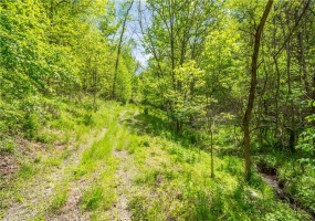 152 Chapel Hill Rd, Claysville, 15323, ,Farm-acreage-lot,For Sale,Chapel Hill Rd,1753874