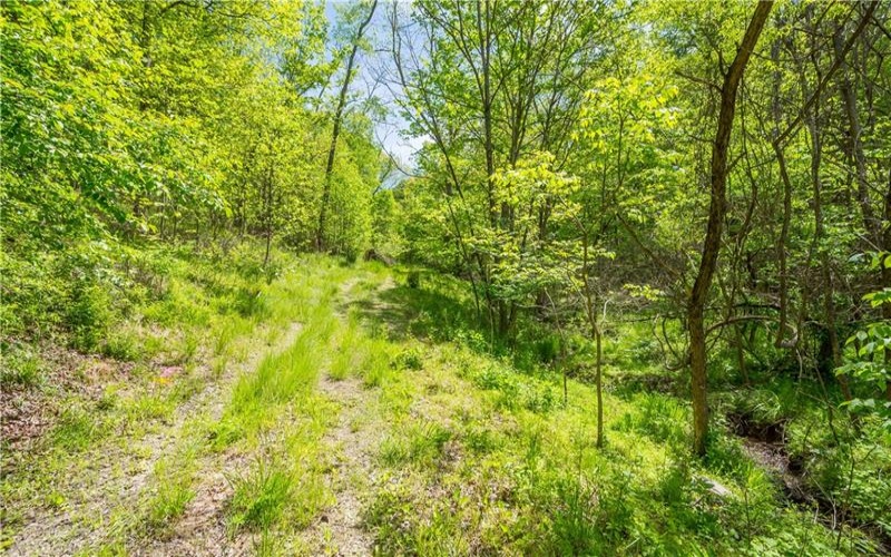 152 Chapel Hill Rd, Claysville, 15323, ,Farm-acreage-lot,For Sale,Chapel Hill Rd,1753874