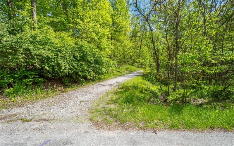 152 Chapel Hill Rd, Claysville, 15323, ,Farm-acreage-lot,For Sale,Chapel Hill Rd,1753874
