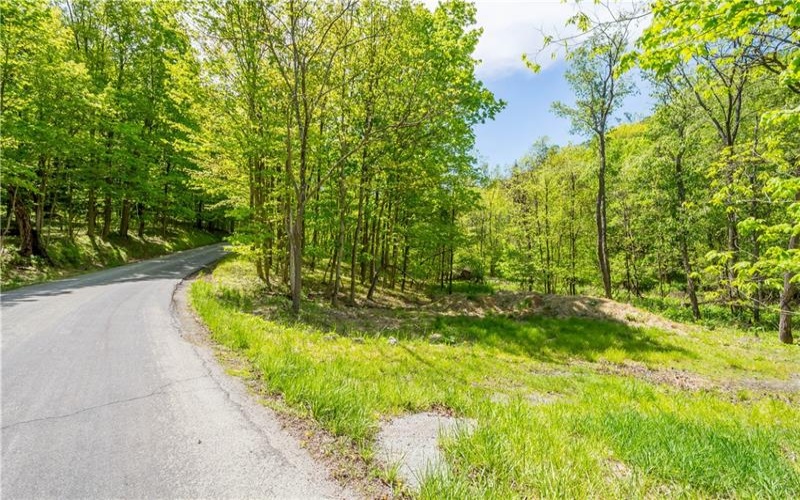 152 Chapel Hill Rd, Claysville, 15323, ,Farm-acreage-lot,For Sale,Chapel Hill Rd,1753874