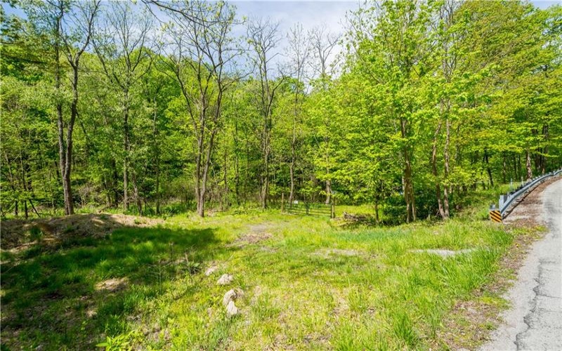 152 Chapel Hill Rd, Claysville, 15323, ,Farm-acreage-lot,For Sale,Chapel Hill Rd,1753874