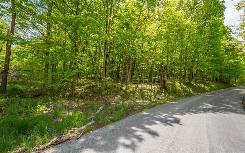 152 Chapel Hill Rd, Claysville, 15323, ,Farm-acreage-lot,For Sale,Chapel Hill Rd,1753874