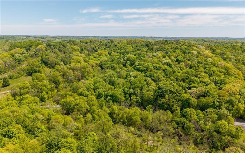 152 Chapel Hill Rd, Claysville, 15323, ,Farm-acreage-lot,For Sale,Chapel Hill Rd,1753874