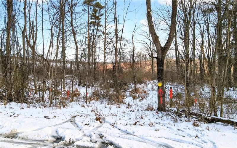 Lot 3 Matson Rd, Ligonier, 15658, ,Farm-acreage-lot,For Sale,n/a,Matson Rd,1754204