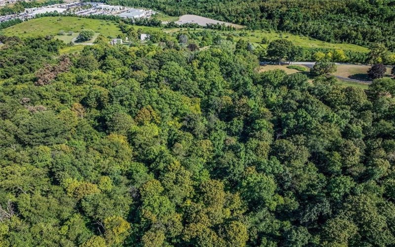 0 Nicholls Hill Rd, Rostraver Twp, 15012, ,Farm-acreage-lot,For Sale,Nicholls Hill Rd,1755333
