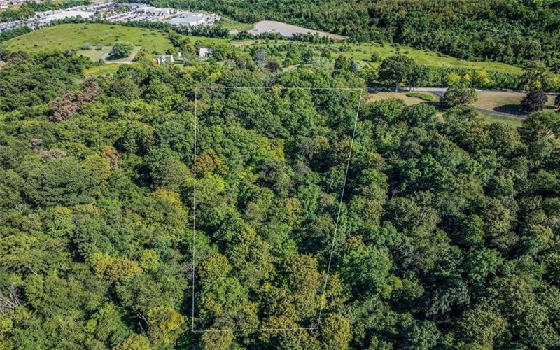 0 Nicholls Hill Rd, Rostraver Twp, 15012, ,Farm-acreage-lot,For Sale,Nicholls Hill Rd,1755333