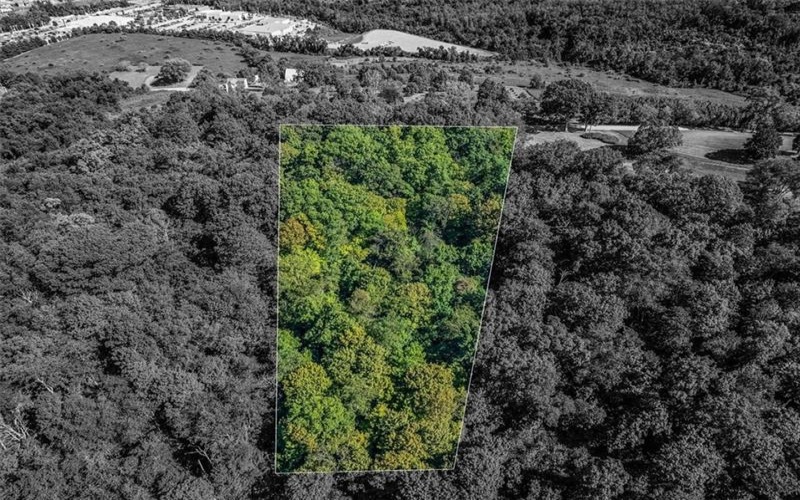 0 Nicholls Hill Rd, Rostraver Twp, 15012, ,Farm-acreage-lot,For Sale,Nicholls Hill Rd,1755333