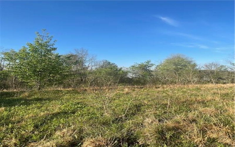 0 Erickson Dr, Johnstown, 15904, ,Farm-acreage-lot,For Sale,Erickson Dr,1754145