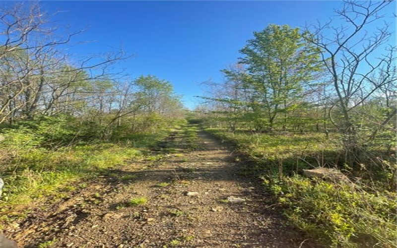 0 Erickson Dr, Johnstown, 15904, ,Farm-acreage-lot,For Sale,Erickson Dr,1754145