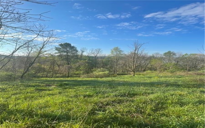0 Erickson Dr, Johnstown, 15904, ,Farm-acreage-lot,For Sale,Erickson Dr,1754145