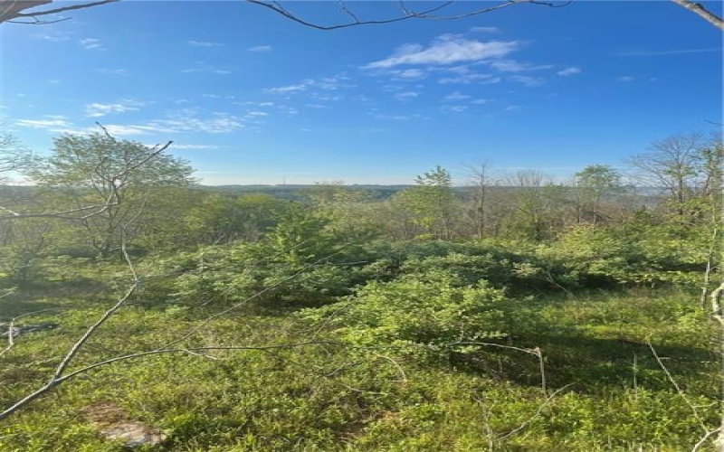 0 Erickson Dr, Johnstown, 15904, ,Farm-acreage-lot,For Sale,Erickson Dr,1754145