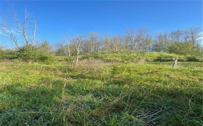 0 Erickson Dr, Johnstown, 15904, ,Farm-acreage-lot,For Sale,Erickson Dr,1754145