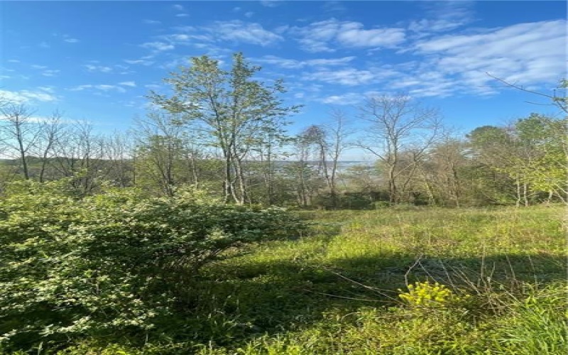 0 Erickson Dr, Johnstown, 15904, ,Farm-acreage-lot,For Sale,Erickson Dr,1754145