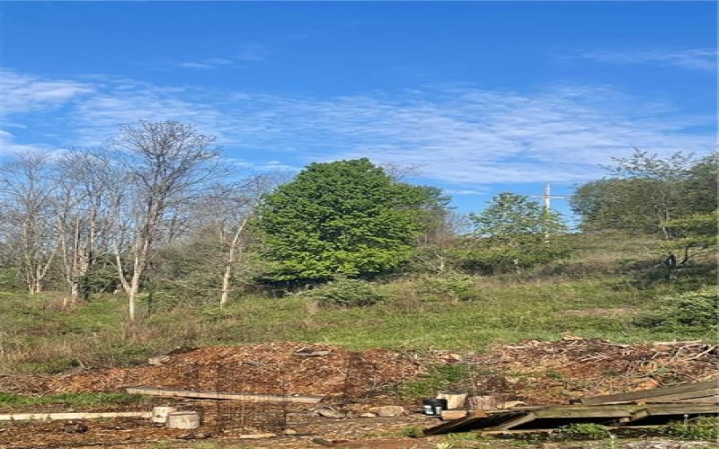 0 Erickson Dr, Johnstown, 15904, ,Farm-acreage-lot,For Sale,Erickson Dr,1754145