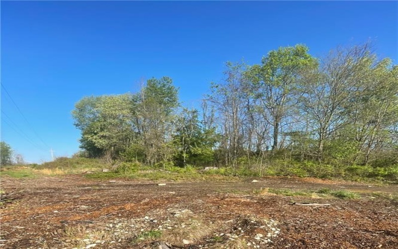 0 Erickson Dr, Johnstown, 15904, ,Farm-acreage-lot,For Sale,Erickson Dr,1754145