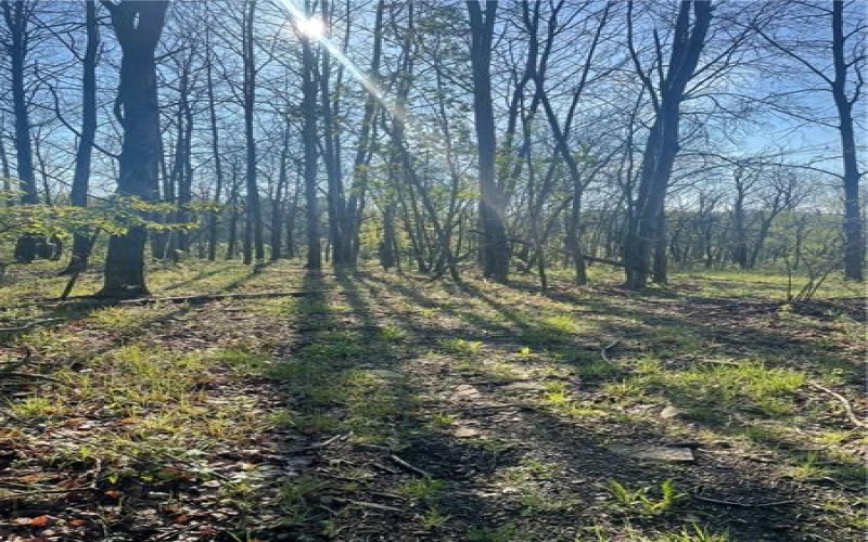 0 Erickson Dr, Johnstown, 15904, ,Farm-acreage-lot,For Sale,Erickson Dr,1754145