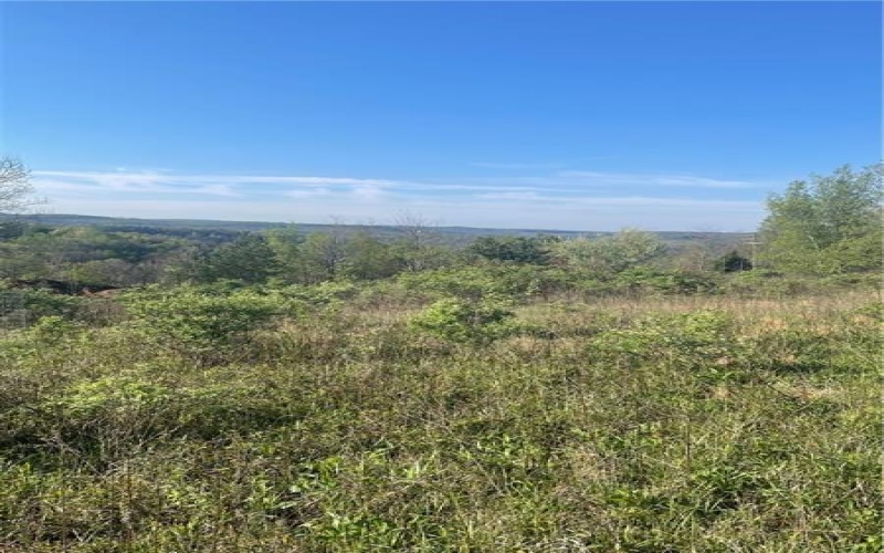 0 Erickson Dr, Johnstown, 15904, ,Farm-acreage-lot,For Sale,Erickson Dr,1754145