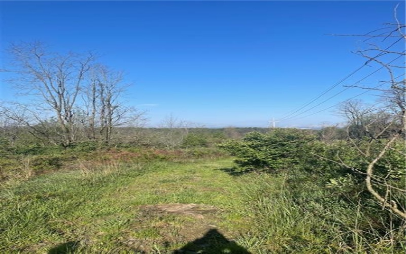 0 Erickson Dr, Johnstown, 15904, ,Farm-acreage-lot,For Sale,Erickson Dr,1754145