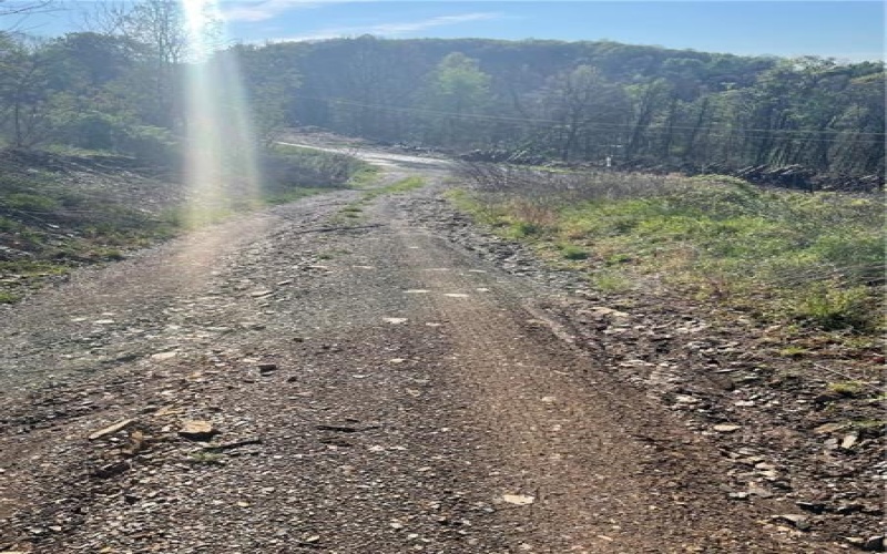 0 Erickson Dr, Johnstown, 15904, ,Farm-acreage-lot,For Sale,Erickson Dr,1754145