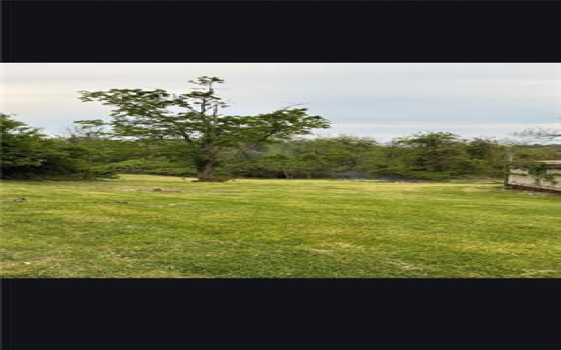 10 Courson Hill Rd, Washington, 15301, ,Farm-acreage-lot,For Sale,Courson Hill Rd,1754390