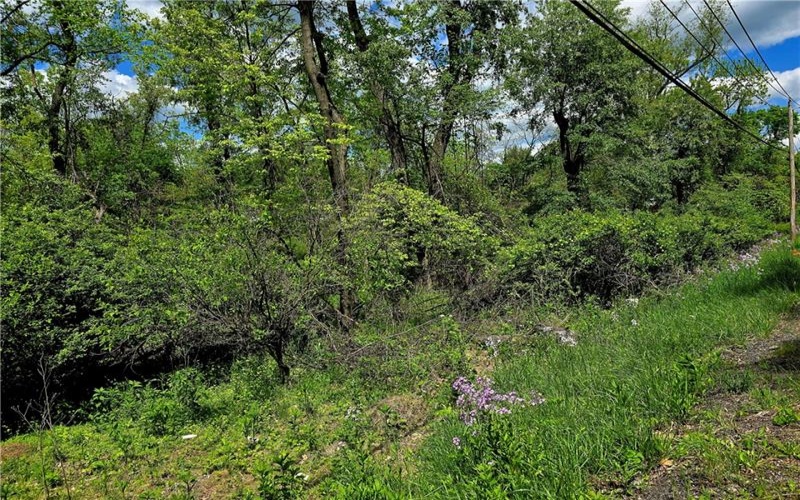 Lot 134 Brokers Lane, Irwin, 15642, ,Farm-acreage-lot,For Sale,Brokers Lane,1754847