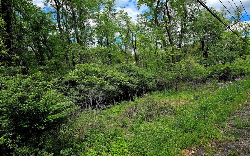Lot 134 Brokers Lane, Irwin, 15642, ,Farm-acreage-lot,For Sale,Brokers Lane,1754847
