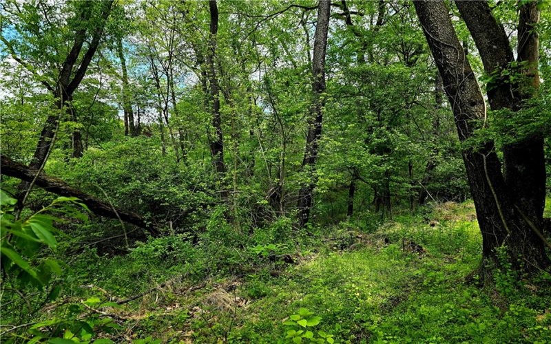 Lot 134 Brokers Lane, Irwin, 15642, ,Farm-acreage-lot,For Sale,Brokers Lane,1754847