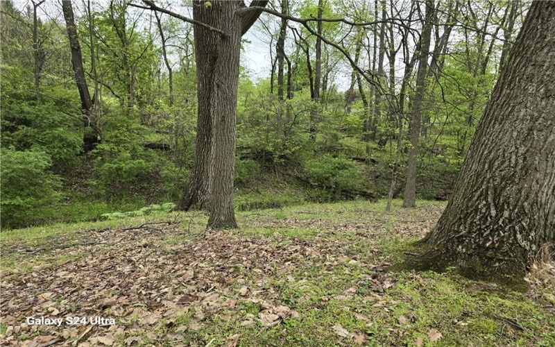 Lot 134 Brokers Lane, Irwin, 15642, ,Farm-acreage-lot,For Sale,Brokers Lane,1754847