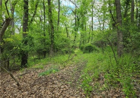 Lot 134 Brokers Lane, Irwin, 15642, ,Farm-acreage-lot,For Sale,Brokers Lane,1754847